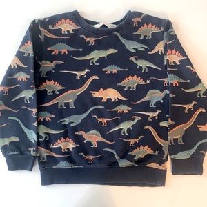 H&M dinosaur sweatshirt, youth size 4-6